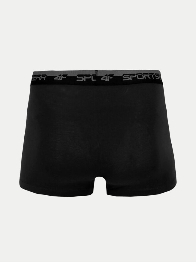 4F 4F 2er-Set Boxershorts 4FWSS24UBXSM036 Schwarz