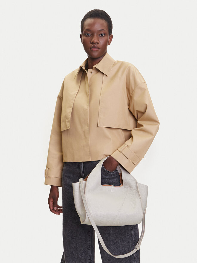 Gianni Chiarini Ročna torba Gianni Chiarini Euforia BS 9554 RNGDBL Siva