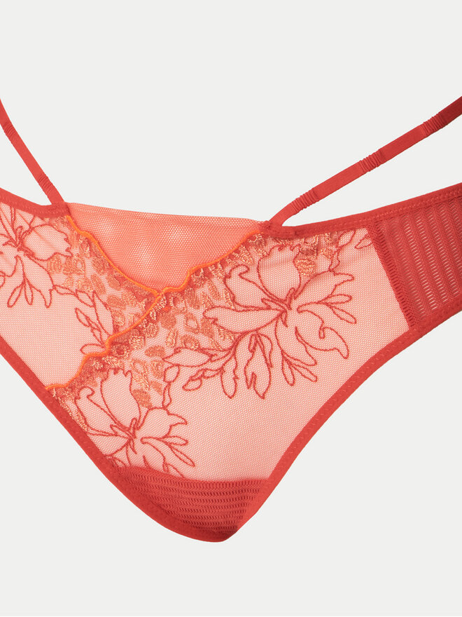 Chantelle Chantelle Brazilian Damenslip Spice C22BG0 Rot