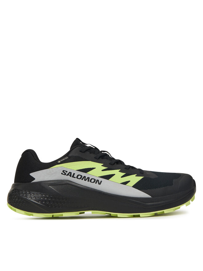 Salomon Laufschuhe Salomon Alphaglide GORE-TEX L47802000 Schwarz