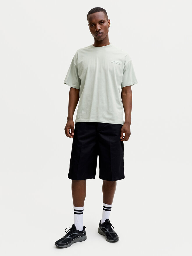 Jack & Jones Jack & Jones Футболка Eterna 12295544 Svetlozelena Loose Fit
