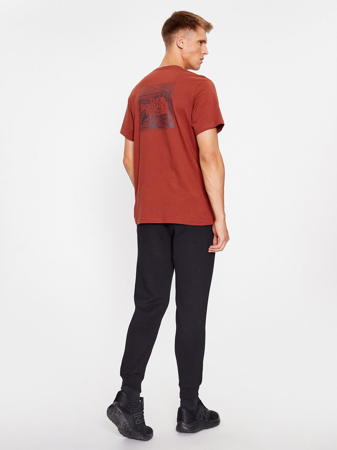 The North Face The North Face T-Shirt Redbox Celebration NF0A7X1K Καφέ Regular Fit