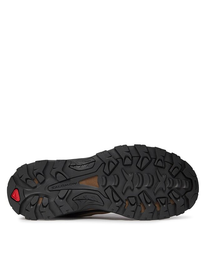 Salomon Trekkingschuhe Salomon Quest Rove GORE-TEX L47181400 Braun