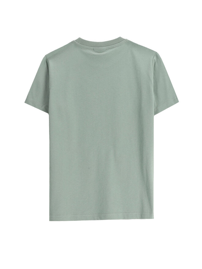 Coccodrillo Coccodrillo Camiseta WC5143216VBB Verde Regular Fit