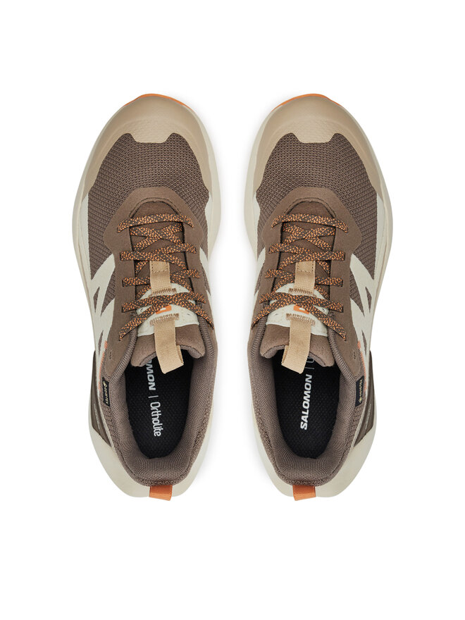 Salomon Снікерcи Salomon Elixir Activ Gore-Tex L47456400 Коричневий