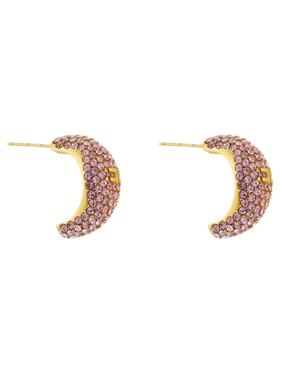 Elisabetta Franchi Сережки Elisabetta Franchi OR-44M-51E2-V250 Рожевий