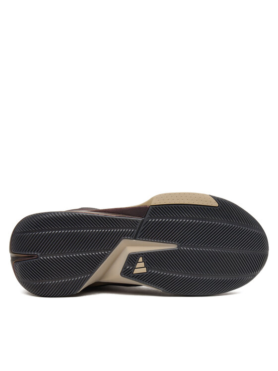 adidas Încălțăminte pentru baschet adidas Crazy Energy Shoes LA1506 Vișiniu