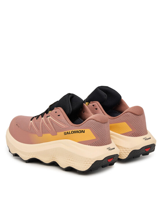 Salomon Pantofi pentru alergare Salomon Ultra Flow 2 Gtx L47884500 Roz
