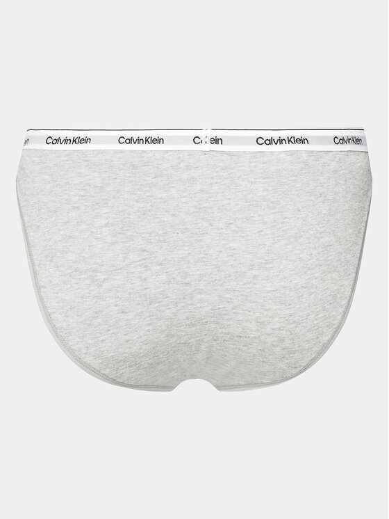 Calvin Klein Underwear Calvin Klein Underwear Klašične gaćice 000QD5215E Siva