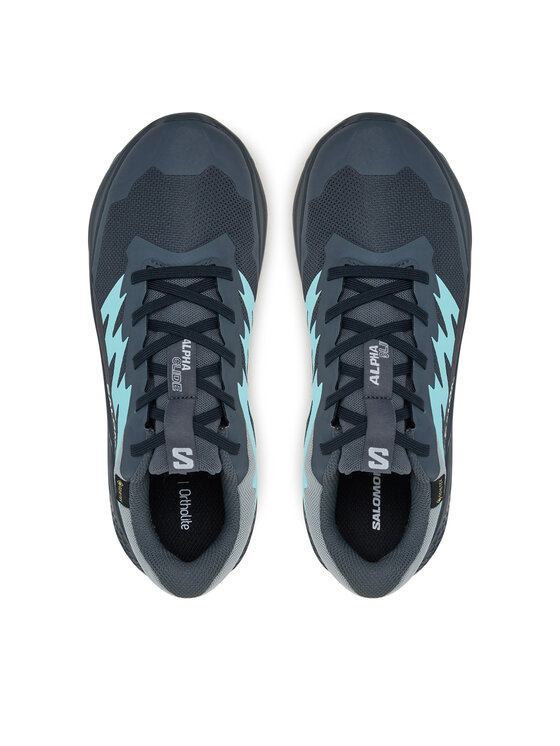 Salomon Взуття для бігу Salomon Alphaglide Gore-Tex L47802500 Сірий
