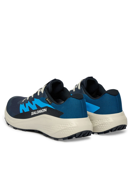 Salomon Взуття для бігу Salomon Alphaglide Gtx L47975100 Голубий