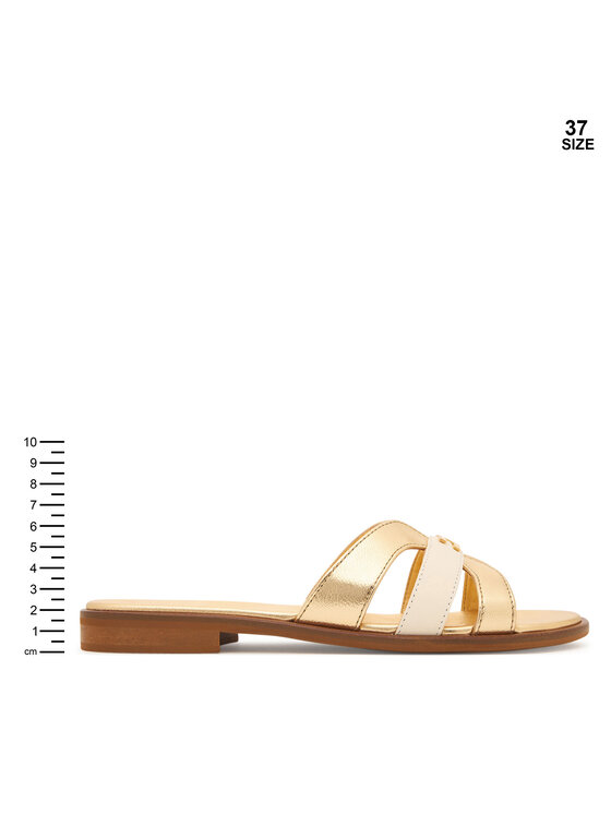 Elisabetta Franchi Шльопанці Elisabetta Franchi F4A2-E0558-1735 D Золотий
