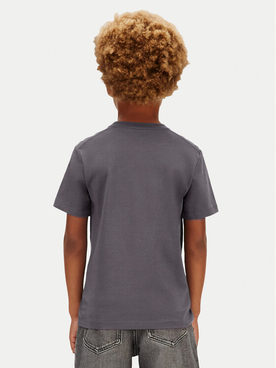 Calvin Klein Jeans Calvin Klein Jeans Camiseta IU0IU00543 Gris Regular Fit