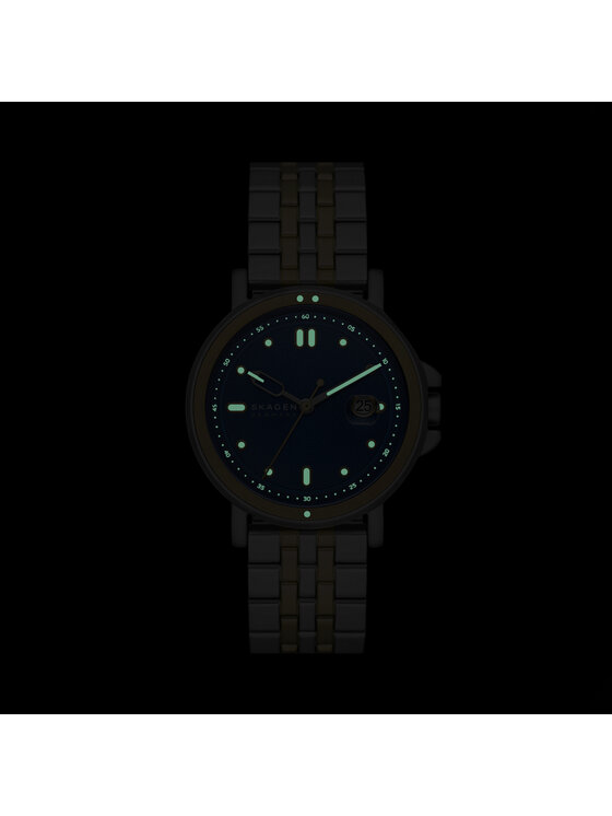 Skagen Годинник Skagen Signature SKW6921 Голубий