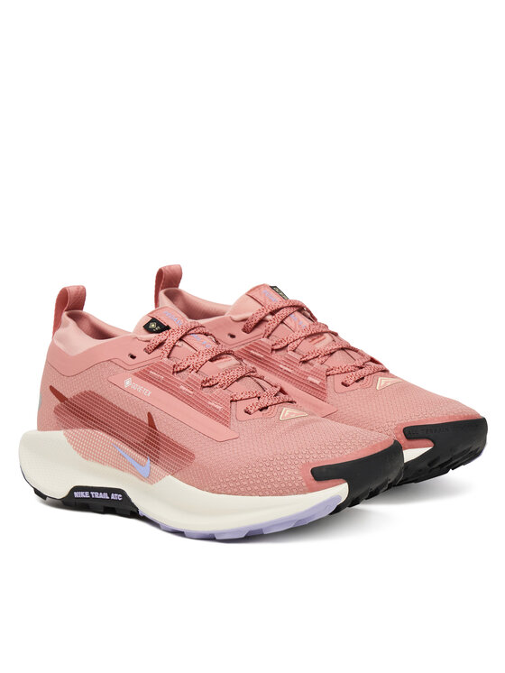 Nike Взуття для бігу Nike W Pegasus Trail 5 Gtx GORE-TEX FQ0912 602 Рожевий