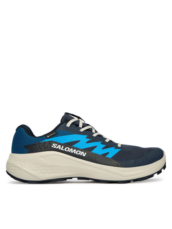 Salomon Взуття для бігу Salomon Alphaglide Gtx L47975100 Голубий