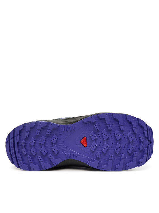 Salomon Трекінгові черевики Salomon Xa Pro V8 Mid Waterproof L47857300 Сірий
