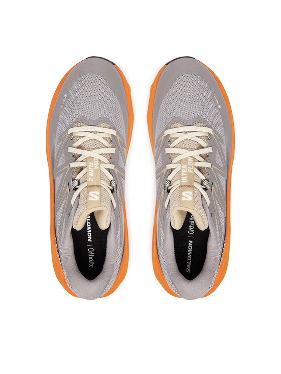 Salomon Взуття для бігу Salomon Ultra Flow 2 Gore-Tex L47884200 Сірий