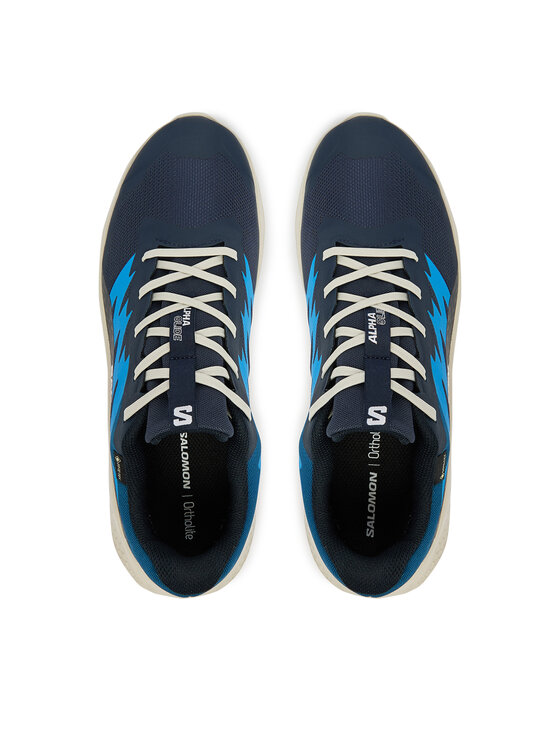 Salomon Взуття для бігу Salomon Alphaglide Gtx L47975100 Голубий