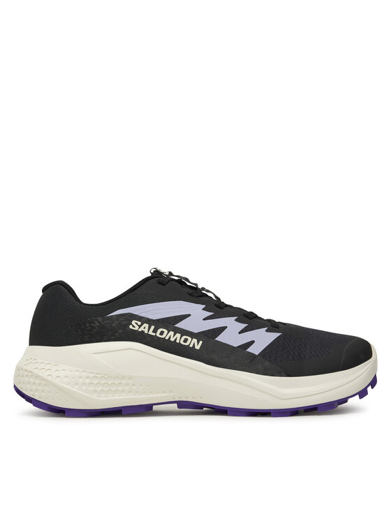 Salomon Взуття для бігу Salomon Alphaglide L47801800 Сірий