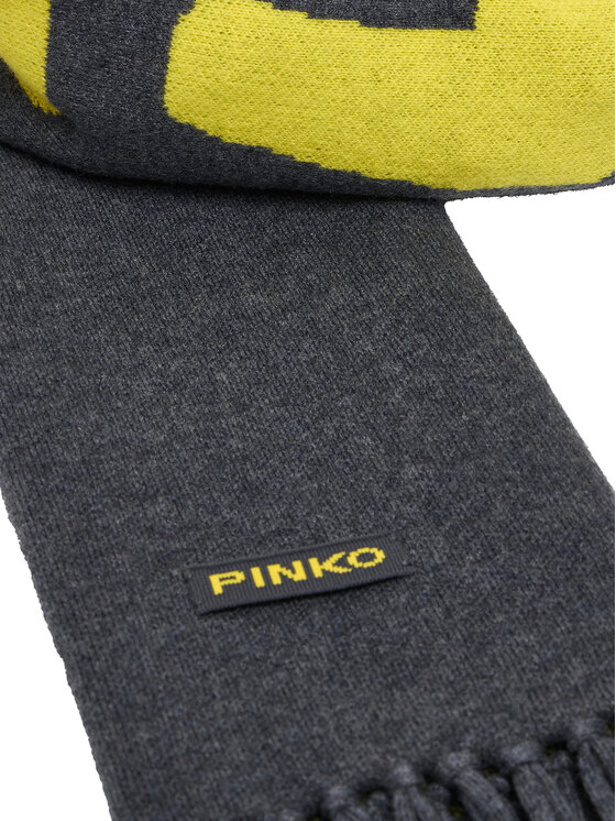 PINKO Fular PINKO Ojos Azules Sciarpa AI 24-25 BLK01 104313 A26I Gri