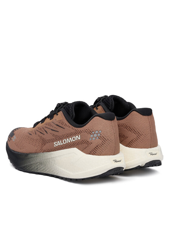 Salomon Pantofi pentru alergare Salomon Aero Blaze 4 L45400500 Maro