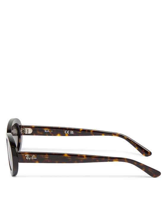Ray-Ban Сонцезахисні окуляри Ray-Ban 0RB2223 Коричневий