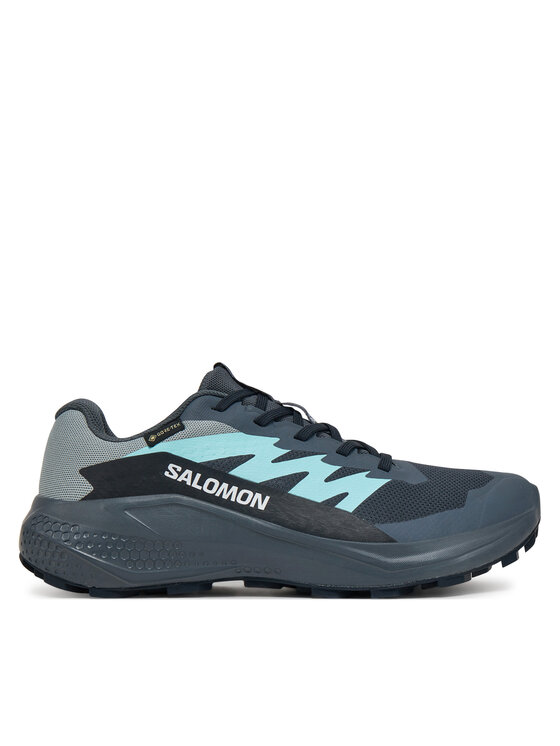 Salomon Взуття для бігу Salomon Alphaglide Gore-Tex L47802500 Сірий