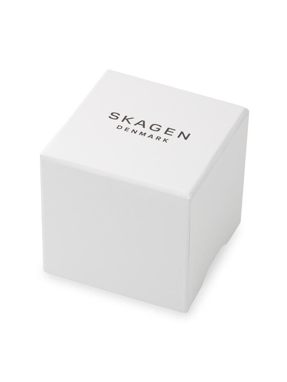 Skagen Ρολόι Skagen Holst SKW6734 Γκρι