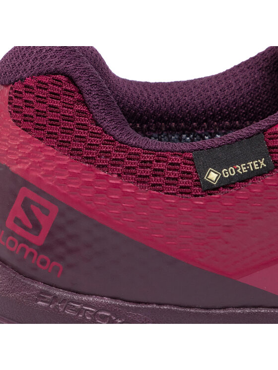 Salomon Παπούτσια για Τρέξιμο Salomon Xa Discovery Gtx GORE-TEX 407948 25 W0 Μπορντό
