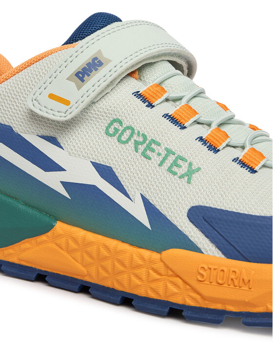 Primigi Sneakersy Primigi AVANT Gtx 1431033 D Šedá