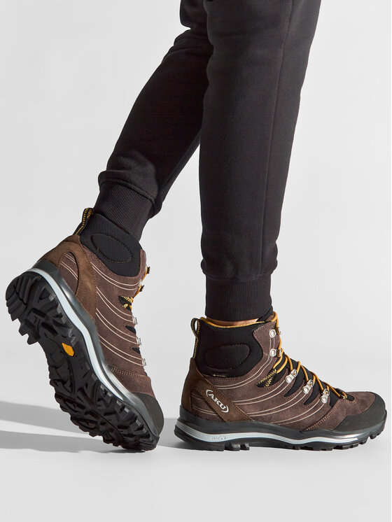 Aku Trekking čevlji Aku Alterra Gtx GORE-TEX 402 Rjava