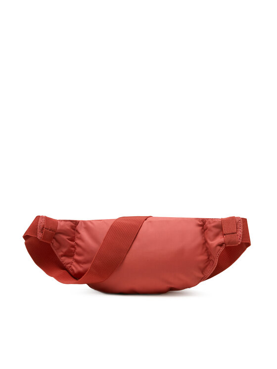 Dakine Ľadvinka Dakine Classic Hip Pack 8130205 Koralová