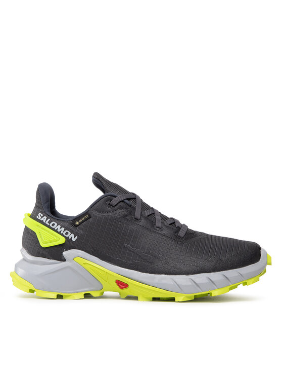 Salomon Παπούτσια για Τρέξιμο Salomon Alphacross 4 Gtx GORE-TEX 470667 26 V0 Γκρι