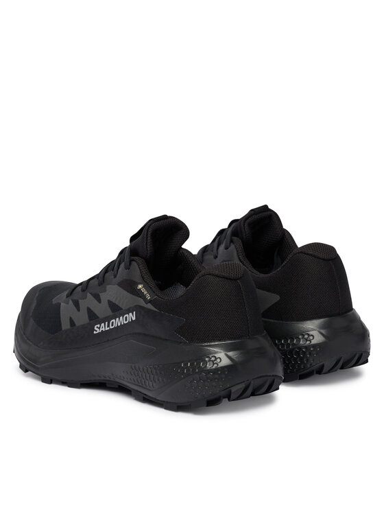 Salomon Взуття для бігу Salomon Alphaglide Gtx W L49214400 Cиній