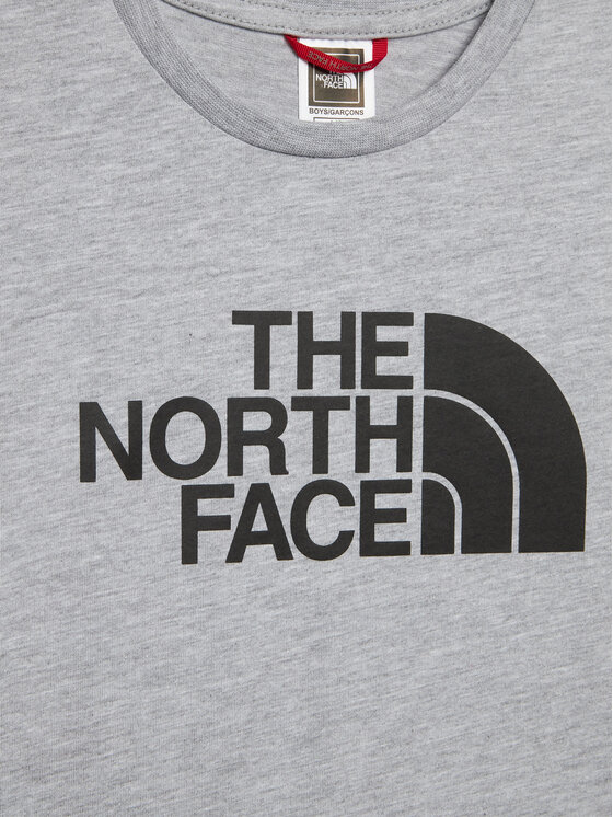 The North Face The North Face T-Shirt Easy NF0A82GH Γκρι Regular Fit