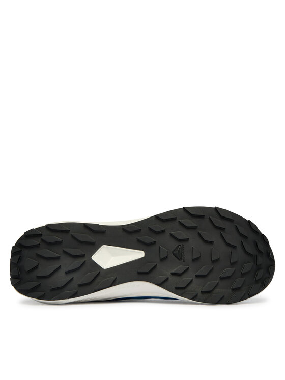 Salomon Взуття для бігу Salomon Alphaglide L48000400 Голубий