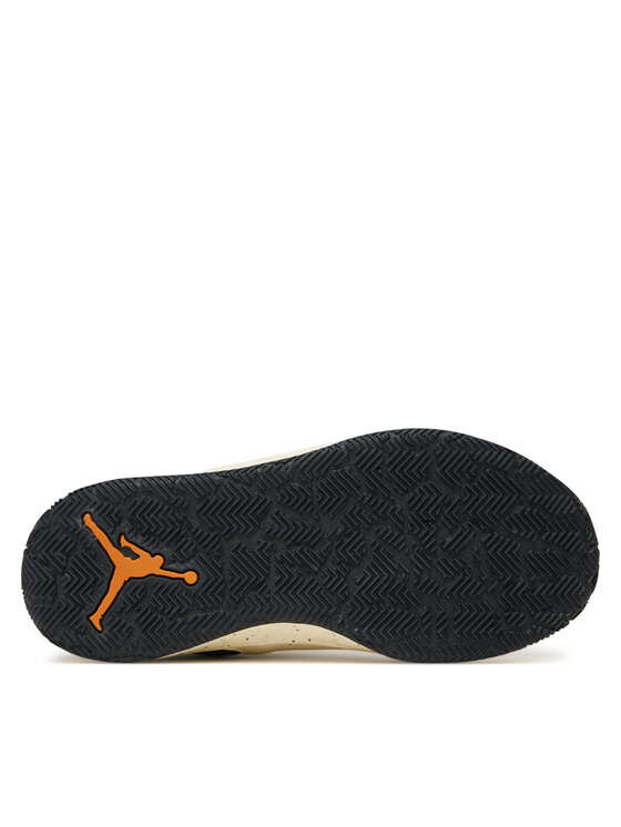 Nike Μπασκετικά Παπούτσια Nike Day1 E.O. (GS) FQ1306 103 Μπεζ