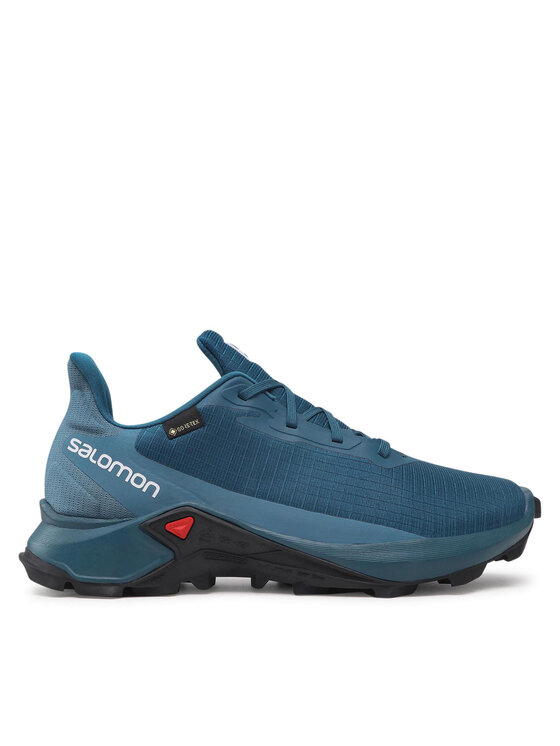 Salomon Παπούτσια για Τρέξιμο Salomon Alphacross 3 Gtx GORE-TEX 414467 26 V0 Μπλε