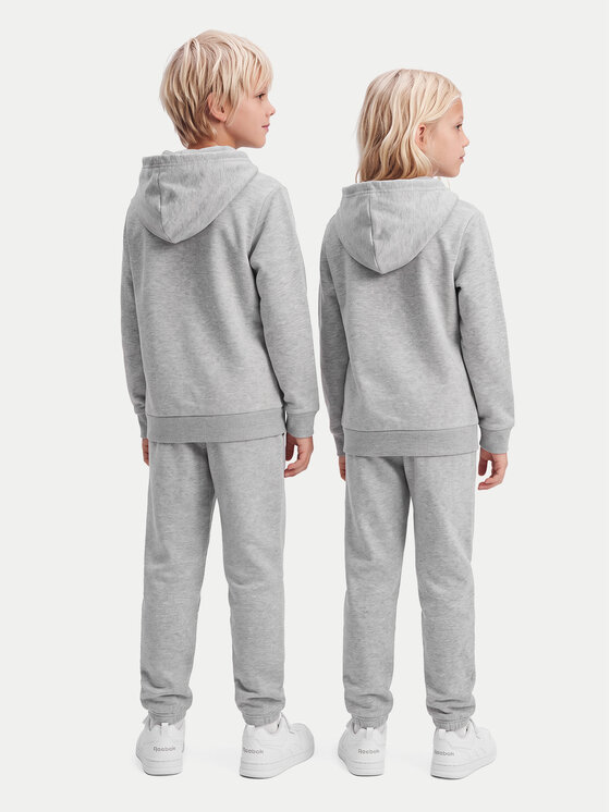 Reebok Reebok Σετ φόρμας RK95228CCB Γκρι Regular Fit
