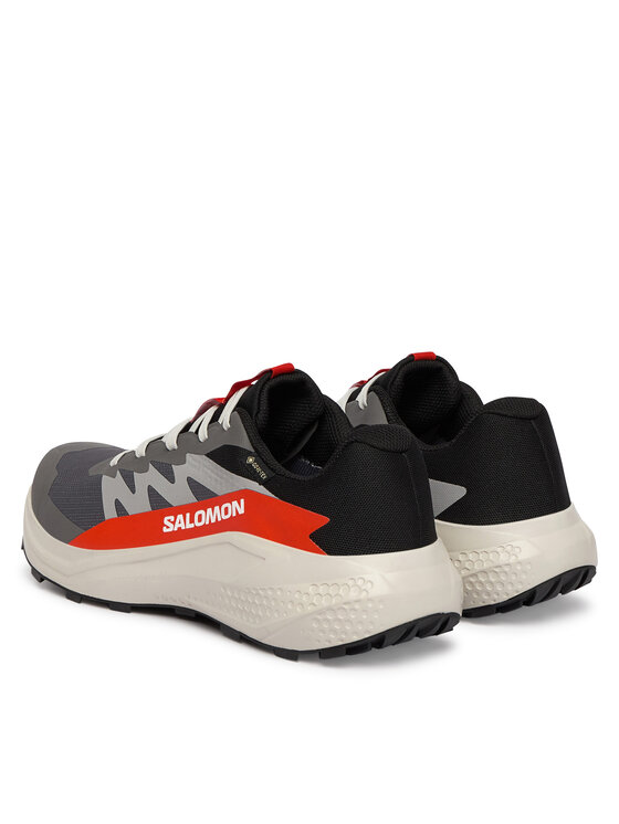 Salomon Взуття для бігу Salomon Alphaglide Gore-Tex L47975300 Сірий