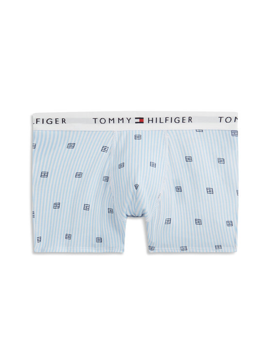 Tommy Hilfiger Tommy Hilfiger Conjunto de calzoncillos boxer UB0UB00550 Azul