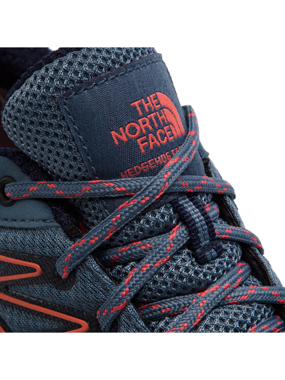 The North Face Botas de trekking The North Face Hedgehog Fastpack Gtx (Eu) GORE-TEX T0CXT4C2N Azul