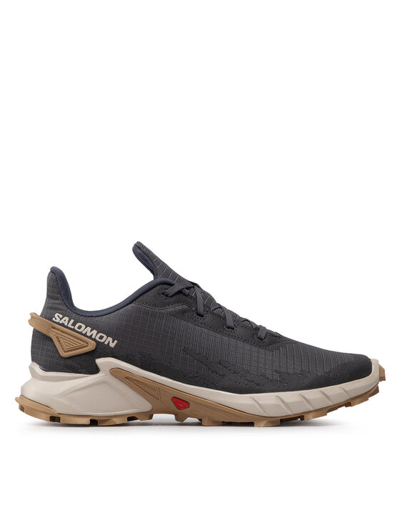 Salomon Взуття для бігу Salomon Alphacross 4 417241 29 W0 Сірий