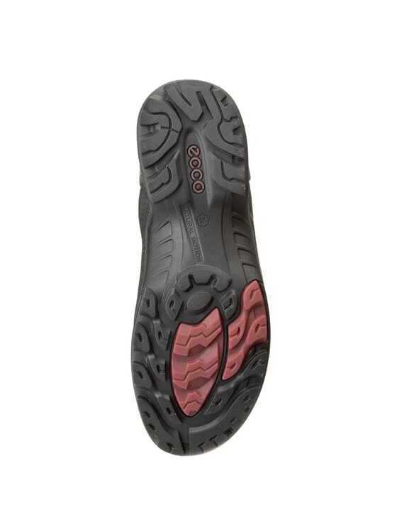 ECCO Trekkingi ECCO Biom Terrain 82355359269 Czarny