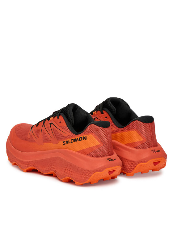 Salomon Взуття для бігу Salomon Ultra Flow 2 L49221500 Червоний