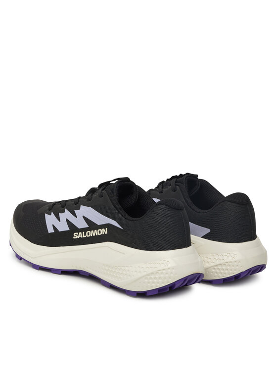 Salomon Взуття для бігу Salomon Alphaglide L47801800 Сірий