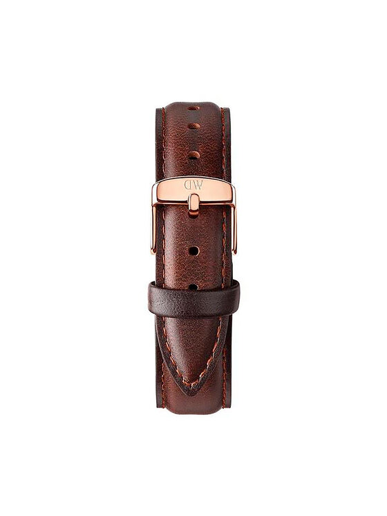 Daniel Wellington Laikrodis Daniel Wellington Classic Bristol DW00100137 Ruda