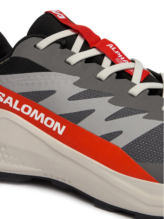 Salomon Взуття для бігу Salomon Alphaglide Gore-Tex L47975300 Сірий