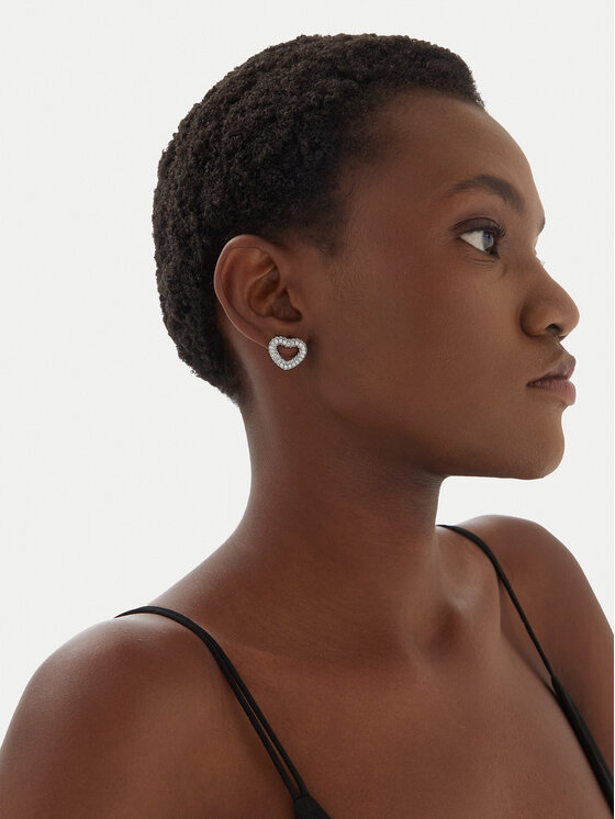 Aldo Náušnice Aldo Legaoniel 13995054 Strieborná